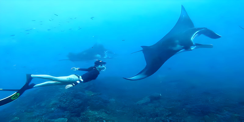 Nusa Penida Snorkeling